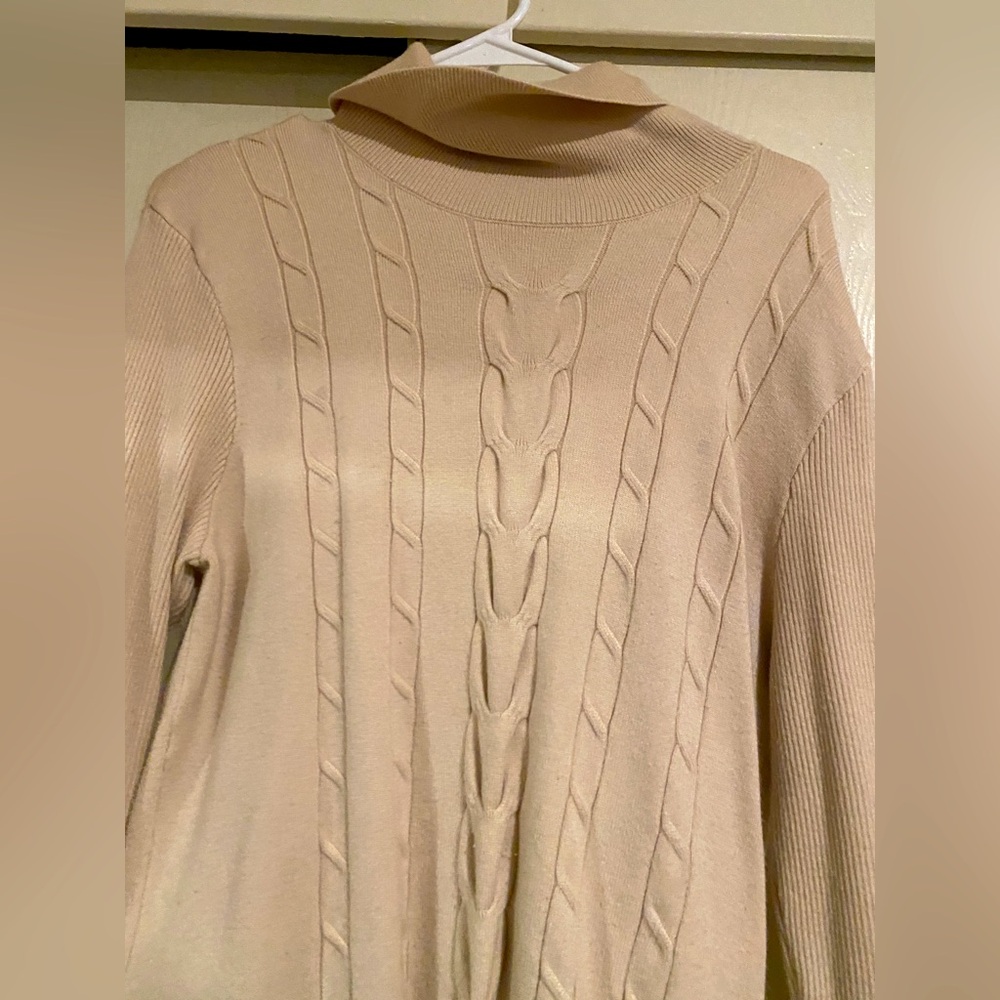 LEANI XL Turtleneck Sweater